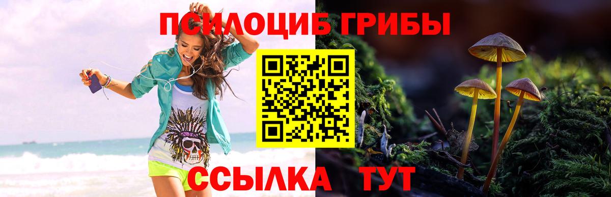 Псилоцибиновые грибы MAGIC MUSHROOMS  Вход с VPN  Ртищево 